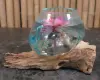 Product image 2 of the product “Driftwood with melted glass (Model 1 - narrow opening) on top as plant container. In the sizes from 10 to 30cm ”